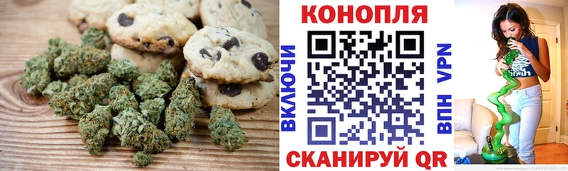 Купить закладки  Назрань  Cannafood конопля 