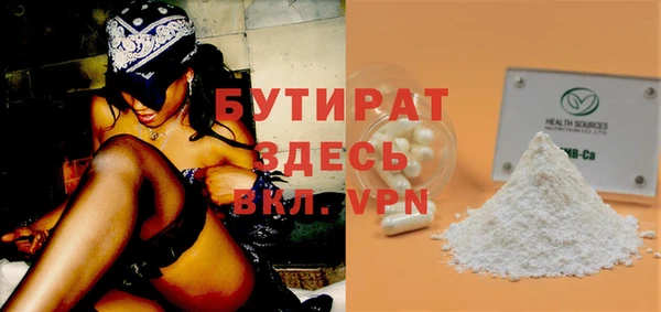 сатива Няндома