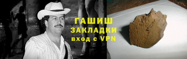 сатива Няндома