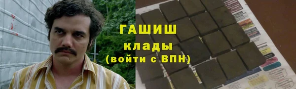 прущие грибы Нягань
