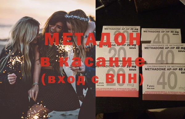 сатива Няндома