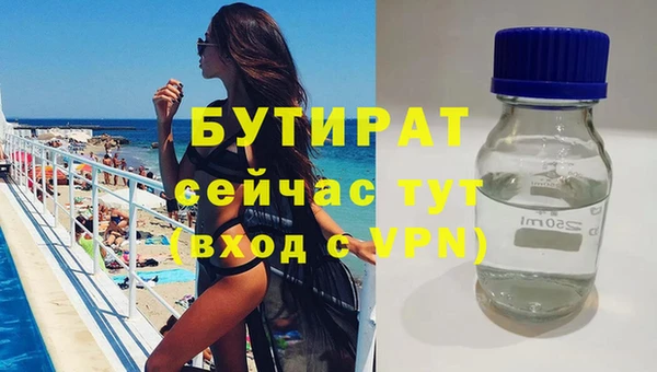 сатива Няндома